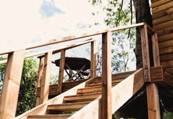 Baumhaus namens 'Bird Nest' in Belgien. Holztreppe und Handlauf führen zur Terrasse.