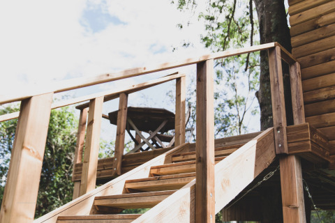 Casa sull’albero chiamata 'Bird Nest' in Belgio. Scala in legno con corrimano verso la terrazza.