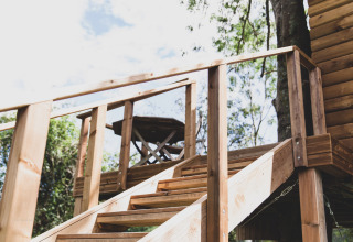 Casa sull’albero chiamata 'Bird Nest' in Belgio. Scala in legno con corrimano verso la terrazza.