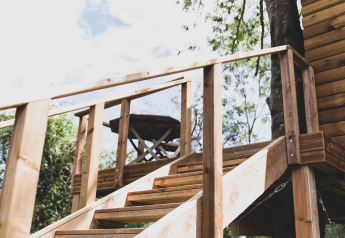 Casa sull’albero chiamata 'Bird Nest' in Belgio. Scala in legno con corrimano verso la terrazza.