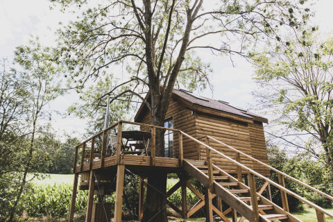 Treehouse named 'Bird Nest' in Belgium, built from wood with a terrace, surrounded by lush greenery.