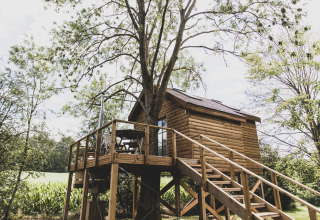 Casa sull’albero chiamata 'Bird Nest' in Belgio, costruita in legno con terrazza immersa nel verde.