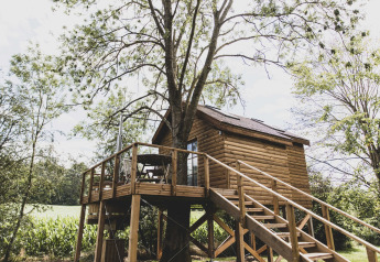 Casa sull’albero chiamata 'Bird Nest' in Belgio, costruita in legno con terrazza immersa nel verde.