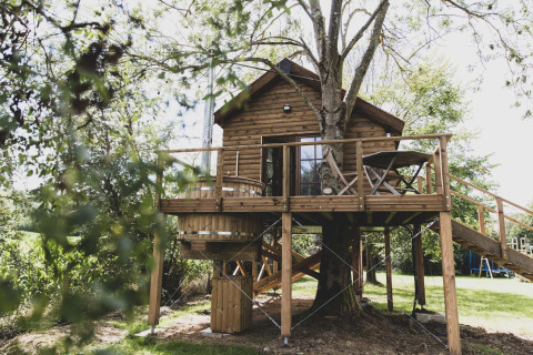 Treehouse called 'Bird Nest' in Belgium, built around a tree with a wooden deck and outdoor seating.