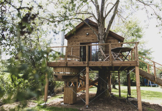 Casa sull'albero chiamata 'Bird Nest' in Belgio, costruita attorno a un albero con terrazza in legno.