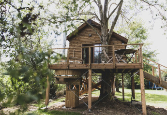 Casa sull'albero chiamata 'Bird Nest' in Belgio, costruita attorno a un albero con terrazza in legno.