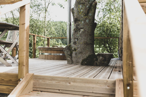 Deck of the Bird Nest tree house in Belgium featuring a large tree, wooden furniture, and lush greenery.