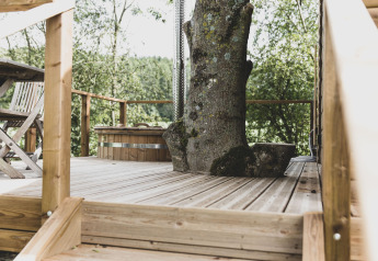 Terrazza della casa sull’albero Bird Nest in Belgio con un grande albero e mobili in legno nel verde.