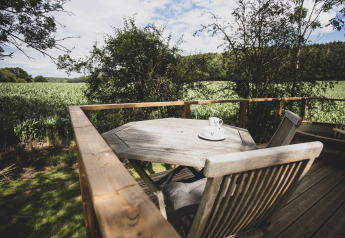 Vista dal terrazzo della casa sull'albero 'Bird Nest' in Belgio con tavolo, sedie e natura verde.