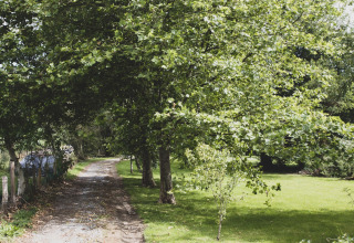 Gravel path among trees and bright grass by the Bird Nest tree house in Belgium, peaceful green scenery.