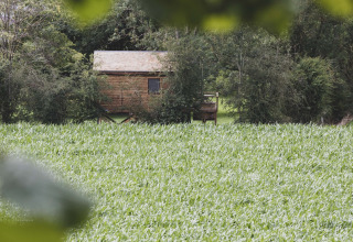 Casa sull'albero chiamata 'Bird Nest' nascosta tra gli alberi in Belgio con campo verde davanti.
