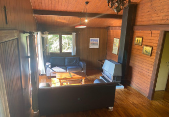 Woonkamer in chalet La Bressine in België, met houten muren, sofa's, haard en grote ramen.