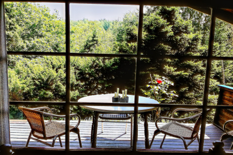 Uitzicht vanuit chalet La Bressine in België, tafel en stoelen op het terras met omliggend groen bos.