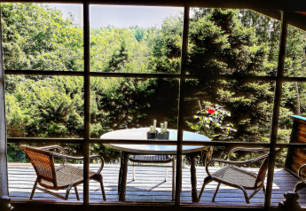 Zicht door het raam van chalet La Bressine in België, met tafel, stoelen en weelderig groen buiten.