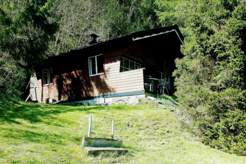 Chalet La Bressine in België, gelegen aan een zonnige grashelling omringd door dicht bos.
