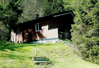 Chalet La Bressine in België, gelegen aan een zonnige grashelling omringd door dicht bos.