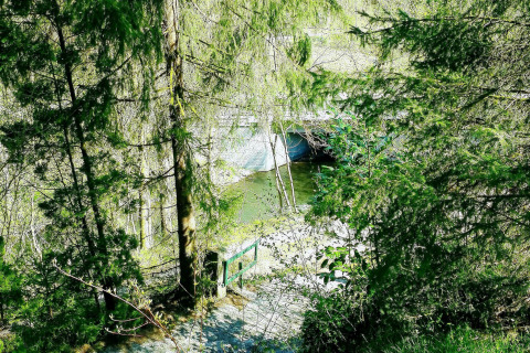 Uitzicht door bomen op een rustige rivier en brug bij chalet La Bressine in het Belgische landschap.