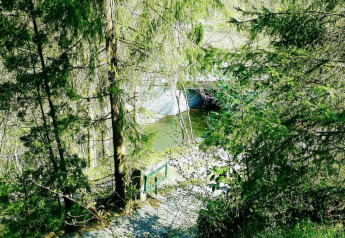 Zicht tussen groen op een rivier en brug aan chalet La Bressine in het landelijke België.