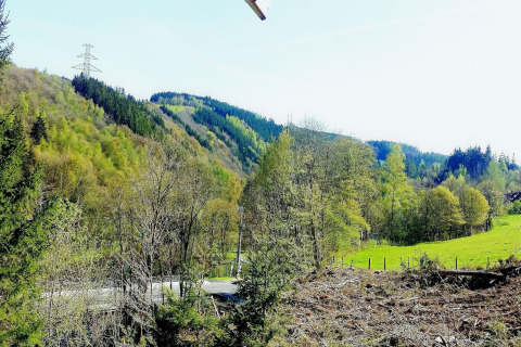 Uitzicht vanaf chalet 'La Bressine' in België over groene heuvels, bomen en een heldere lucht.