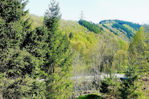 Uitzicht vanaf chalet La Bressine in België met groene bomen, bosrijke heuvels en een hoogspanningsmast.