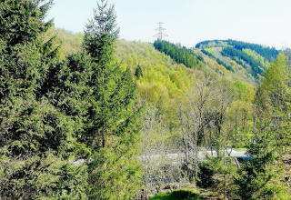 Uitzicht vanaf chalet La Bressine in België met groene bomen, bosrijke heuvels en een hoogspanningsmast.