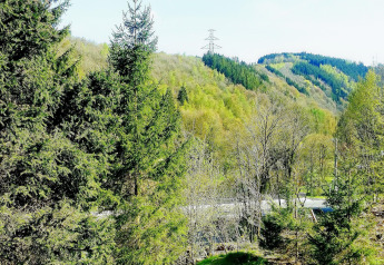 Uitzicht vanaf chalet La Bressine in België met groene bossen, heuvels en een elektriciteitsmast op de achtergrond.