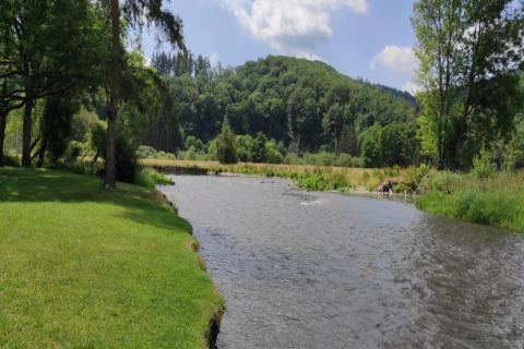 Rivierzicht bij chalet La Bressine in België, met groene grasvelden, bomen en beboste heuvels.