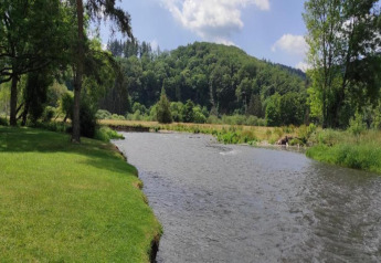 Rivierzicht aan chalet La Bressine in België, met groen gras, bomen en beboste heuvels rondom.