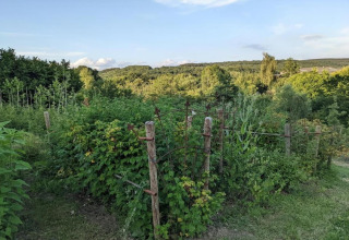 Weelderige tuin bij een glamping-accommodatie, omgeven door groen en heuvels onder een heldere lucht.