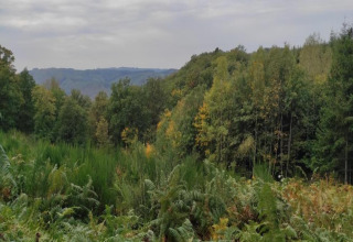 Uitzicht op een weelderig bos en heuvels genomen bij chalet La Bressine in België onder een bewolkte hemel.