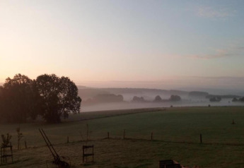 Rustig ochtendlandschap met nevel over velden en bomen, gezien vanaf chalet La Bressine in België.