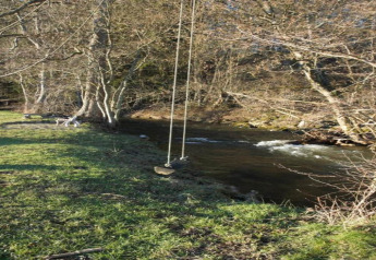 Een schommel bij een rivier, omgeven door bomen en gras, gefotografeerd bij een glampingverblijf.