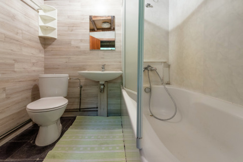 Badkamer met toilet, wastafel, spiegel, bad en groen vloerkleed in lodge Le Chession in België.