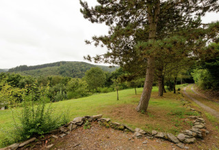 Uitzicht op groene heuvels en bomen langs een pad bij lodge Le Chession in België.