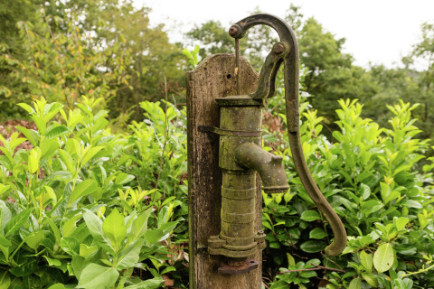 Oude waterpomp tussen groene bladeren bij lodge Le Chession in België, buiten gefotografeerd.