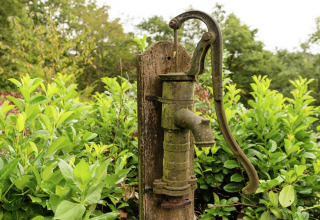 Oude waterpomp tussen groene bladeren bij lodge Le Chession in België, buiten gefotografeerd.