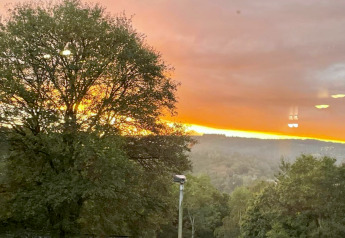 Sonnenuntergang hinter einem Baum bei der Lodge Le Chession in Belgien mit grünem Talpanorama.