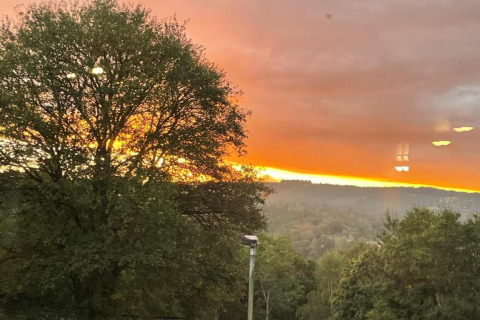 Zonsondergang achter een boom bij Le Chession lodge in België, met weelderig bosrijk uitzicht.