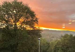 Zonsondergang achter een boom bij Le Chession lodge in België, met weelderig bosrijk uitzicht.