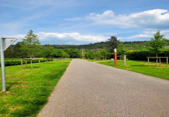 Ruhige Straße mit grünem Rasen und jungen Bäumen bei der Lodge Le Chession in Belgien an einem klaren Tag.