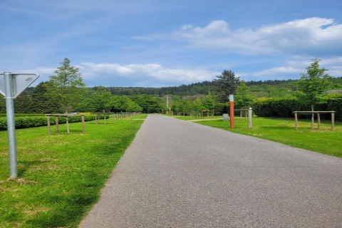 Rustige weg omgeven door jonge bomen en gras nabij de lodge Le Chession in België op een heldere dag.