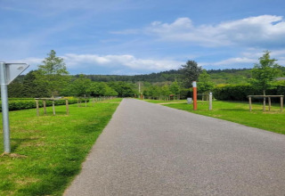 Rustige weg omgeven door jonge bomen en gras nabij de lodge Le Chession in België op een heldere dag.