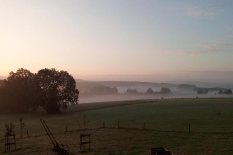 Ochtendmist over een groen veld bij lodge Le Chession in België met bomen en nevel in de verte.