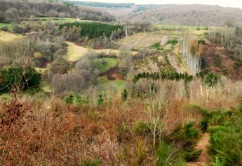 Landschaft mit bewaldeten Hügeln und Wiesen nahe der Lodge Le Chession in Belgien, im frühen Frühling.