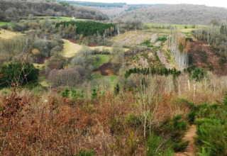 Uitzicht op glooiende heuvels en bos bij de Le Chession-lodge in België, met diverse begroeiing.