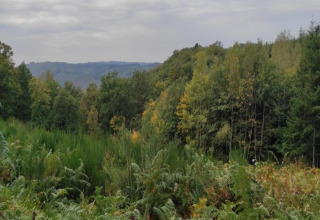 Uitzicht op weelderig bos en heuvels vanaf lodge Le Chession in België met bewolkte lucht erboven.