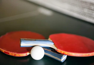 Dos palas de tenis de mesa con goma roja y una pelota blanca sobre una mesa en Resort Beachside 5, Bélgica.