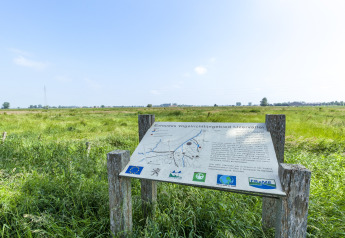 Cartello informativo sulla riserva di uccelli IJzervallei in Belgio con vista su prati verdi e paesaggio.