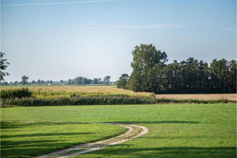 Landschaftsbild von dem Hausboot 'St Antoine' in Belgien, mit Wiese, Feldern und Bäumen.