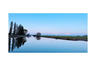 Blick von Hausboot St Antoine in Belgien auf ruhiges Wasser, Felder und Bäume unter einem blauen Himmel.